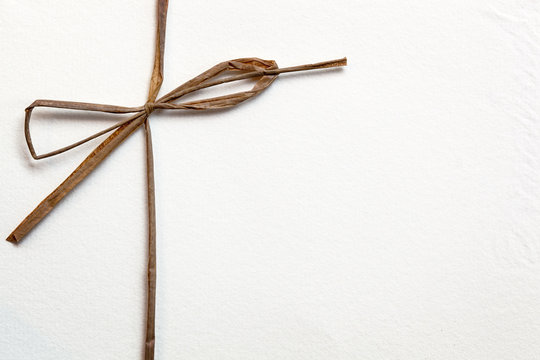 Bow on White Paper
