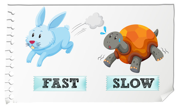 Opposite adjectives fast and slow