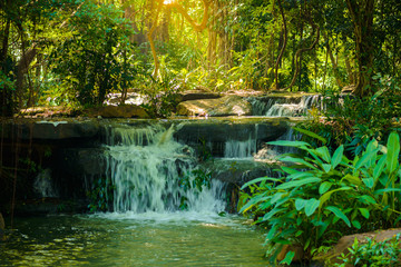 Obraz premium waterfalls in the park