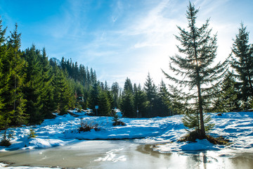 Winter Landscape in the Mountains © pic3d