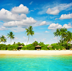 Obraz premium Sand beach. Blue sky. Paradise island palm trees