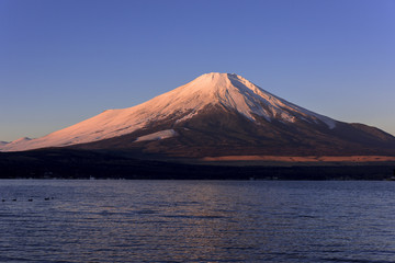 山中湖より富士山朝焼け