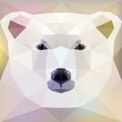 Vector illustration - Face of a polar bear