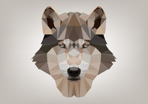 Lupo Low Poly