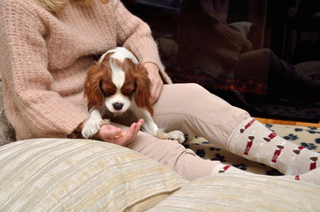 Obraz premium Lady and dog (Cavalier King Charles spaniel) by the fireplace