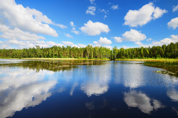 A lake in Estonia in beautiful summer day