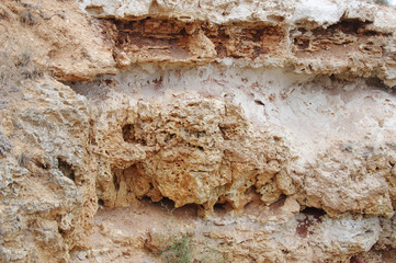natural background, rock texture closeup   