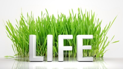 Green grass with Life 3D text, isolated on white background.