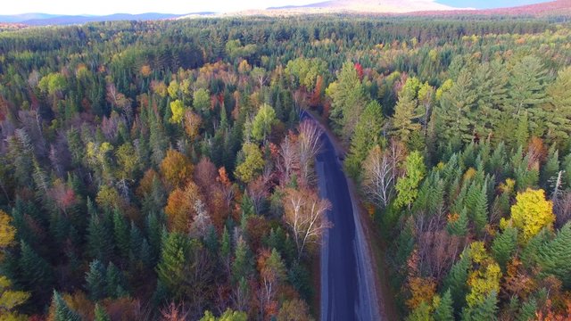 New England. Beautiful aerial view of fall foliage