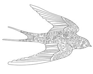 Happy swallow with high details.