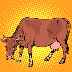 Cow eating grass farm animals