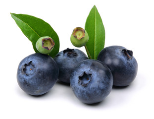 Obraz premium Blueberries