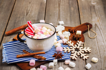 Homemade hot chocolate in a mug