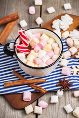 Homemade hot chocolate in a mug