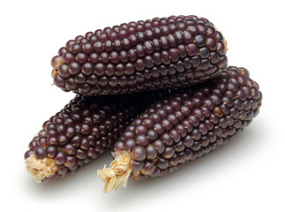 Purple corn