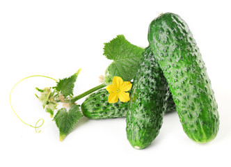Fresh cucumbers with leafs isolated on white background