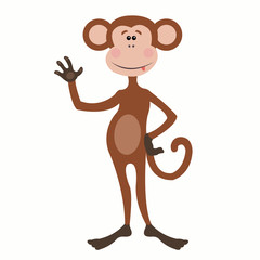 funny monkey