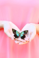 Colorful butterfly in female hand, close-up