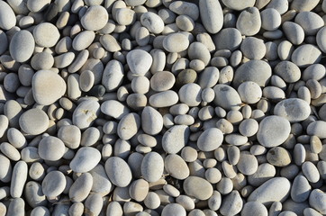 Fondo con guijarros