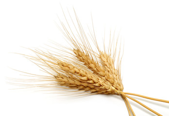 Wheat bundle