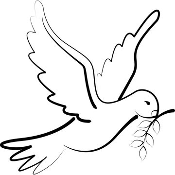 Friedenstaube Zeichnung Kontur 