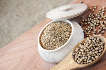 coriander seeds in a wooden spoon, milled in bowl.