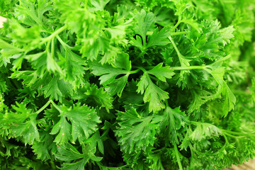 Fresh parsley closeup