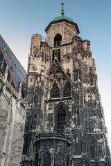 Fototapeta premium Stephansdom in Vienna, Austria in dark evening