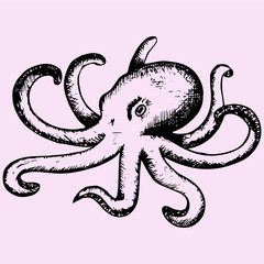 wild ocean octopus, doodle style, sketch illustration