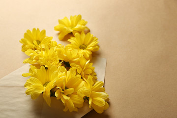 Yellow chrysanthemum in envelope on beige background