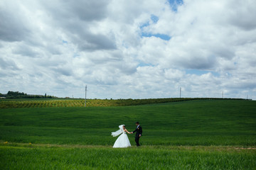 Beautiful wedding couple on nature