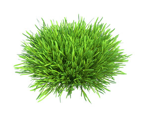 Fresh green grass piece of land isolated on white background