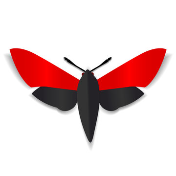 A Black And Red Paper Butterfly With Dark Red Eyes