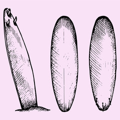 set of surfboard, doodle style, sketch illustration, hand drawn, vector