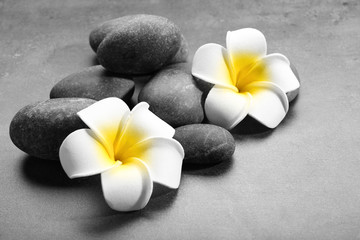 Fototapeta na wymiar Hot spa stones with flowers on grey background, close-up