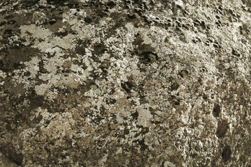 Grey stone textured background