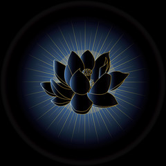 Dark blue Buddha lotus