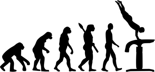 Evolution vaulting table