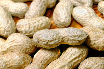 Macro peanut with peanuts in the background