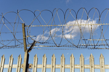 barbwire