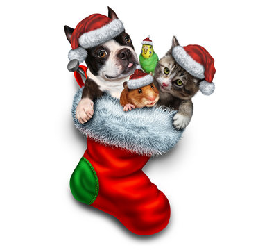 Pet Holiday Stocking