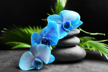 Beautiful spa composition with blue orchid and stones