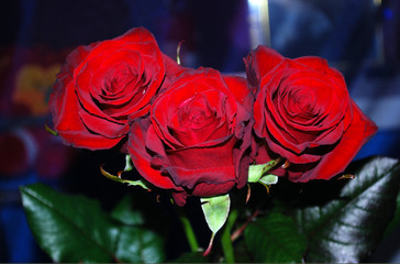 букет красных роз