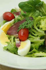 salade de magret  21122015