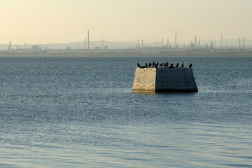  industrial landscape 3
