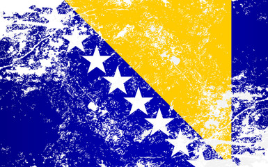 Bosnia and Herzegovina Texture Flag