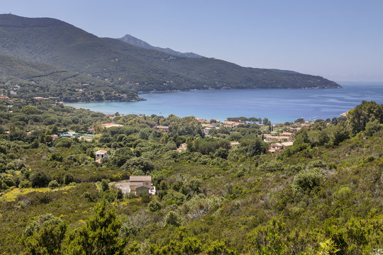 Landscape near Procchio, northern coast, Elba, Tuscany, Italy, Europe