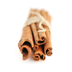 Cinnamon Sticks on white