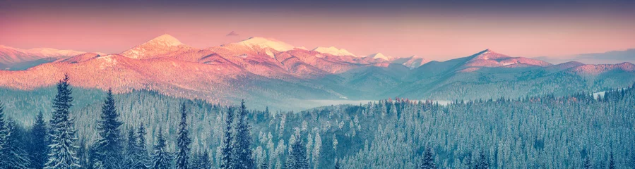 Poster Colorful winter panorama in the Carpathian mountains © Andrew Mayovskyy