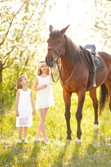 Fototapeta premium portrait of two girls of girlfriends on a summer nature
